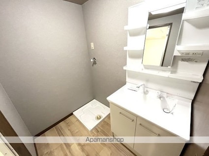 メゾン雅[2DK/43.74m2]の洗面所