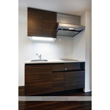 フロンティア新宿タワー[1K/30.37m2]のキッチン