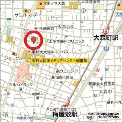 アジールコート大森西[1DK/25.19m2]の配置図