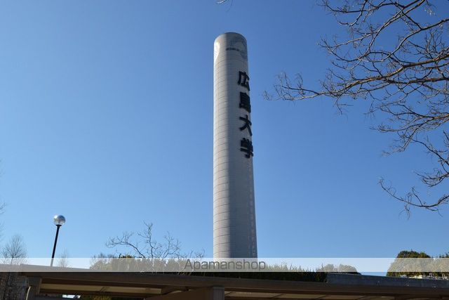 山陽本線 西条駅 徒歩53分 2階建 築19年の周辺写真
