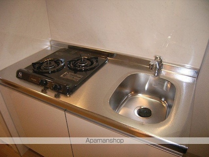 ｔ－ｒｏｏｔ（ティー　ルート）[1K/24.07m2]のキッチン