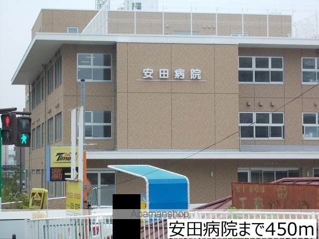 カモミールの周辺写真