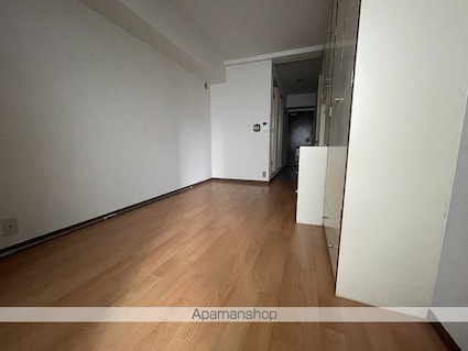 サンピア白樺[1R/21.02m2]の内装