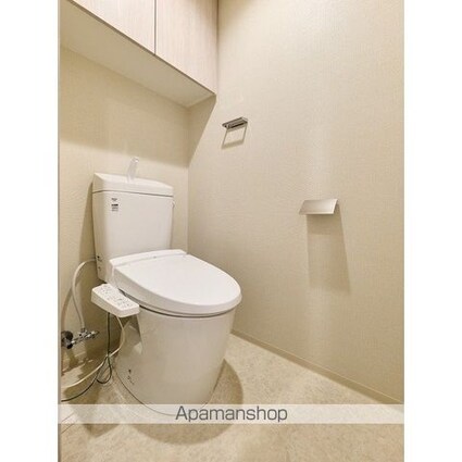 コンフォリア・リヴ西大島ＳＯＵＴＨ[1SLDK/48m2]のトイレ