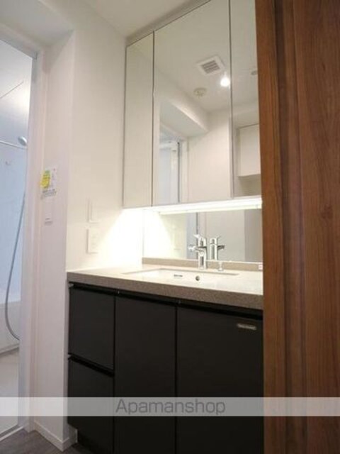 Ｔｈｅ　Ｖｅｒｌｕｘ　Ｔａｋａｎａｗａ[2LDK/70.73m2]の洗面所