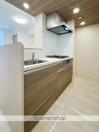 セレスティア東葛西Ⅱ[1LDK/36.13m2]のキッチン