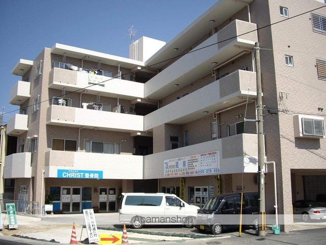 プラシード伊波