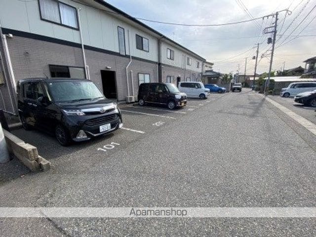 アスターアオキのその他写真