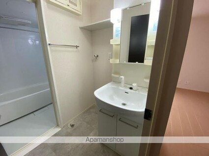 ウィステリア太田[2LDK/58.07m2]の洗面所