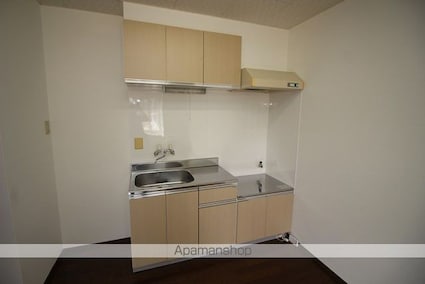 メイプルリーフ[1LDK/29.07m2]のキッチン