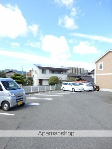 アプリコットのその他写真