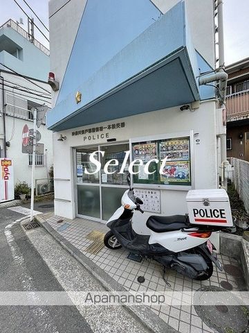 ジョーヌ・ドールの周辺写真