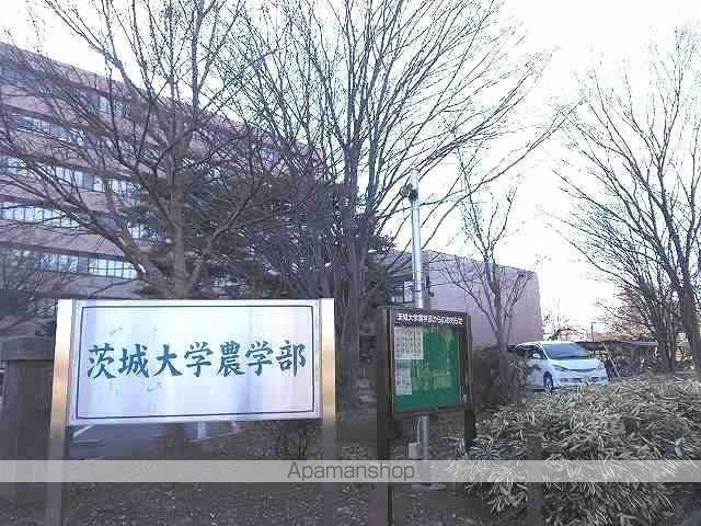 アイランドヒルズアミファイナルの周辺写真