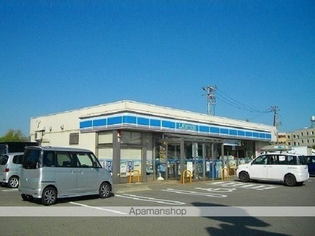 コスモスの周辺写真