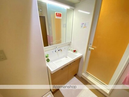 ロイヤル・シャトー一番館[3LDK/80.1m2]の洗面所