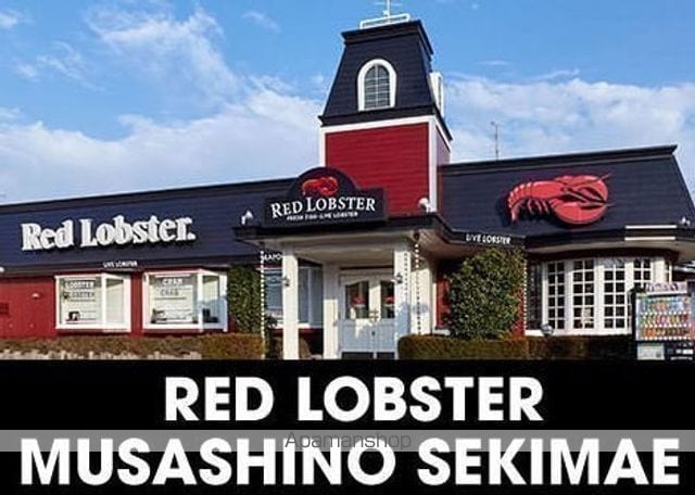 新町5丁目貸家の周辺写真