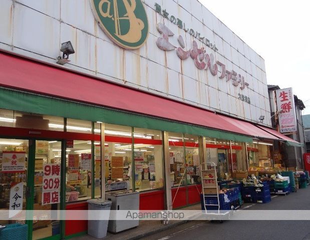 スカイコート綱島第3の周辺写真
