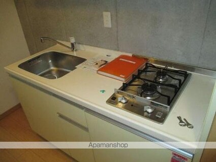 ルーブル吉祥寺南[1K/27.72m2]のキッチン