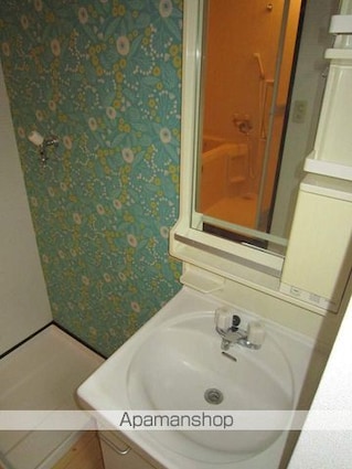 東京都練馬区氷川台４丁目[2DK/35.3m2]の洗面所