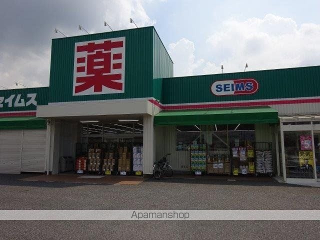 コスモスの周辺写真