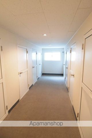 クリサンテームのその他写真