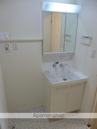 Ｖｉｅｓｅｎ　Ｓｃｈｌｏｓｓ　ヴィーゼン　シュロス[1LDK/35.82m2]の洗面所