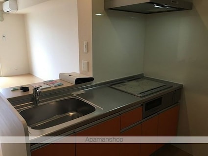 ルイティア　Ⅲ[1LDK/41.91m2]のキッチン