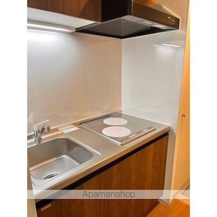 メゾン・ド・中目黒[1R/31.87m2]のキッチン2