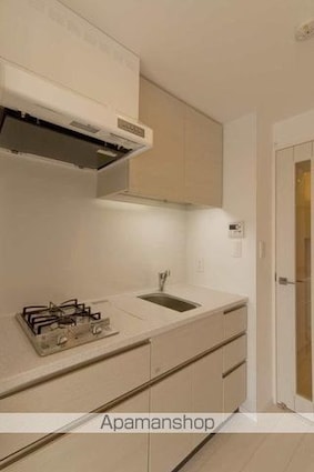 パークアクシス秋葉原Ｅａｓｔ[1R/26.06m2]のキッチン