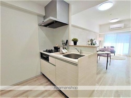 プレイス白壁[1LDK/44.14m2]のその他内装2