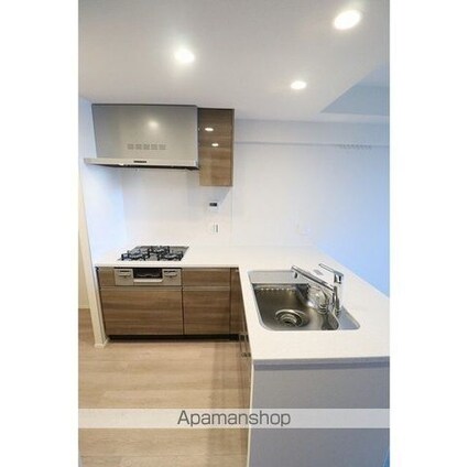 ブランズ牛込柳町[2LDK/61.41m2]のキッチン