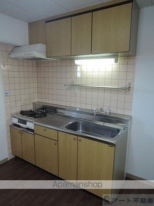 アップルリング[2DK/40.95m2]のキッチン