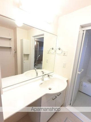 ヴィラ清流[2LDK/61.74m2]の洗面所