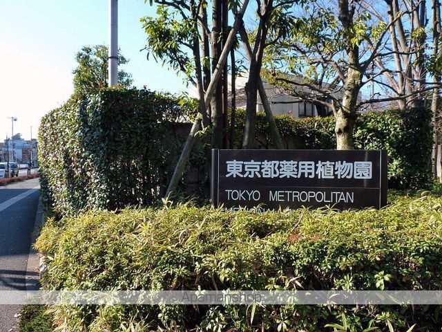 カインドネス東大和NORTHの周辺写真