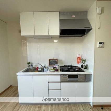 ピシックＫⅡ[1LDK/45.03m2]のキッチン