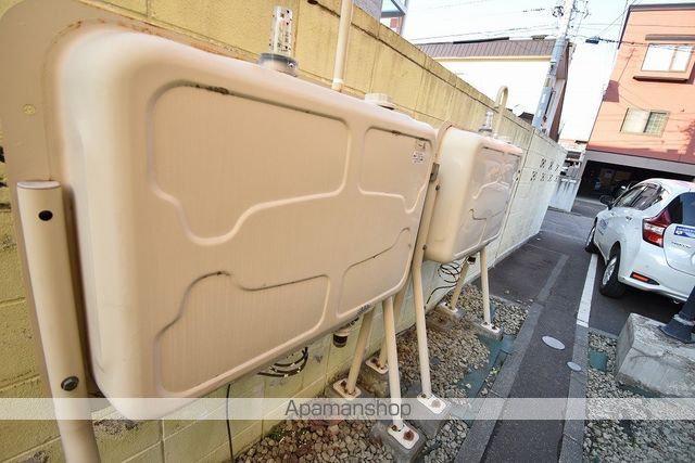 バルーンフラワーのその他写真