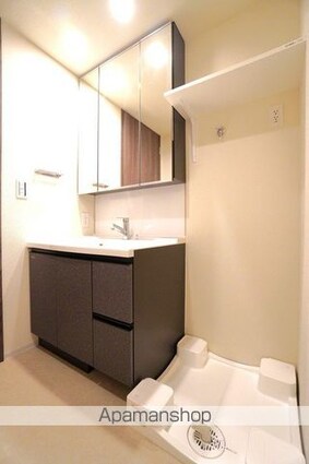 プレディアコート錦糸町スカイビュー[2SLDK/50.7m2]の洗面所