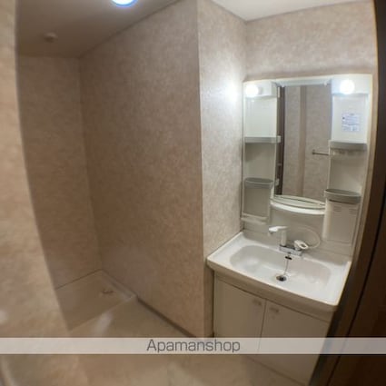 フローリッシュホーム[2LDK/57.33m2]の洗面所