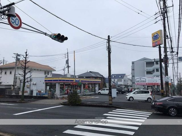 ダンディライオンの周辺写真