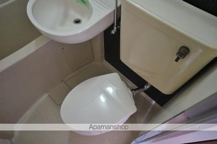 藤島ハイツ[1K/23.4m2]のトイレ