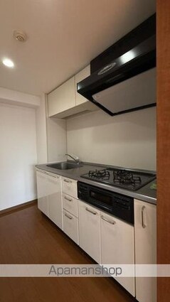 ミリオンガーデン世田谷砧[1LDK/44.4m2]のキッチン