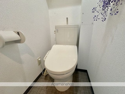 アースマーシーマンション[1K/22.9m2]のトイレ