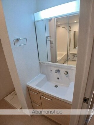 ブリリアントⅡ[1LDK/47.42m2]の洗面所