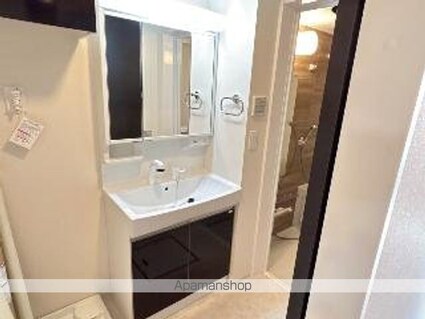 メイグリーン[1K/33.56m2]の洗面所