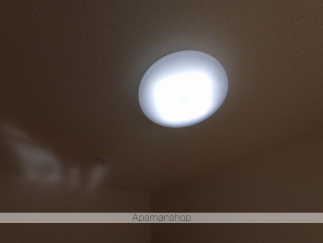 サクセスホワイトのその他写真