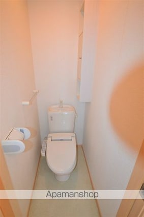 グレイス　Ｖｉｌｌａ　Ⅱ[2DK/45.89m2]のトイレ