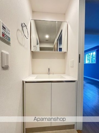 プラウドフラット三軒茶屋Ⅱ[1LDK/41.58m2]の洗面所