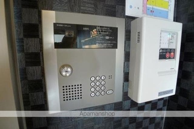アマンシエル増泉のその他写真