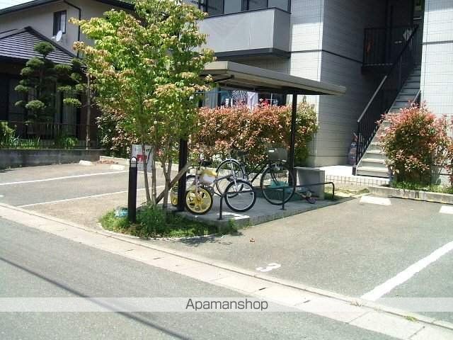 モーニングサンのその他写真