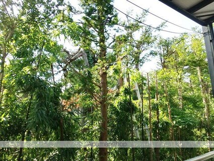 長野県松本市大字新村[1K/29.7m2]の眺望